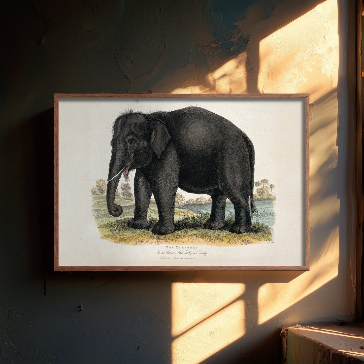 Vintage Elephant Art Print - Antique Zoological Illustration Poster 1860 - Natural History Wall Art - Asian Elephant