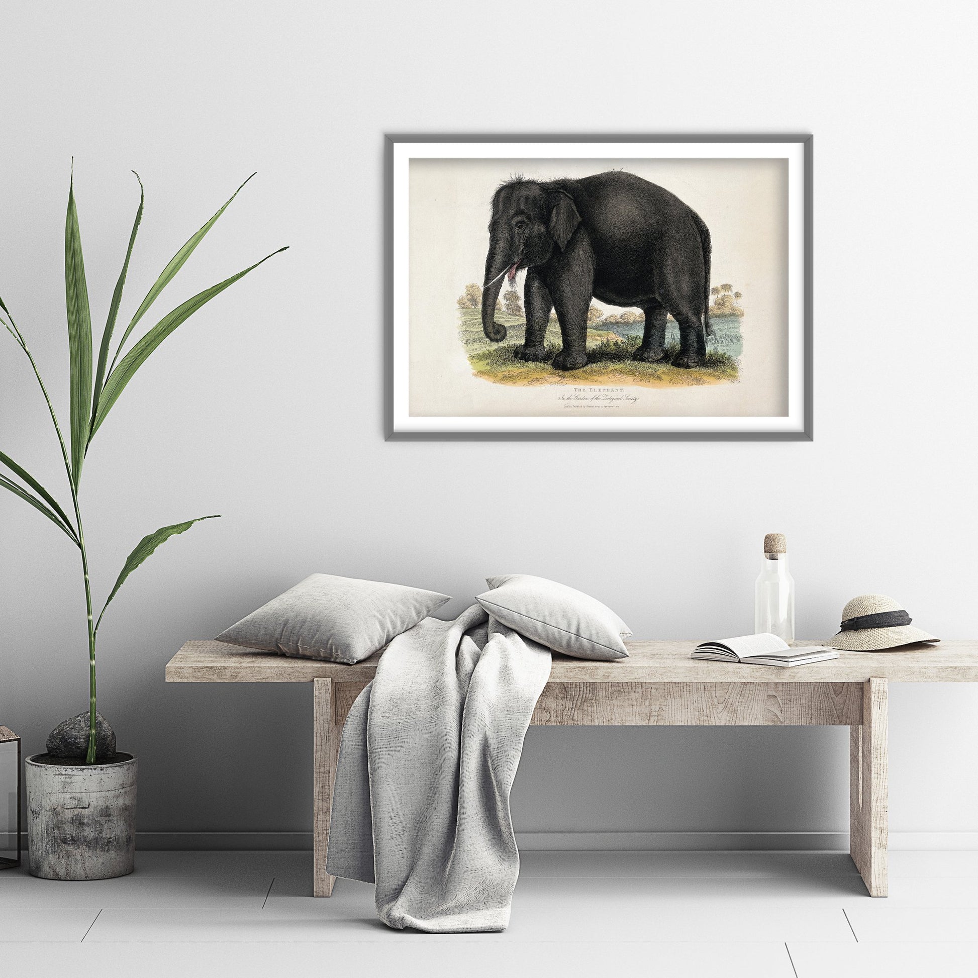 Vintage Elephant Art Print - Antique Zoological Illustration Poster 1860 - Natural History Wall Art - Asian Elephant