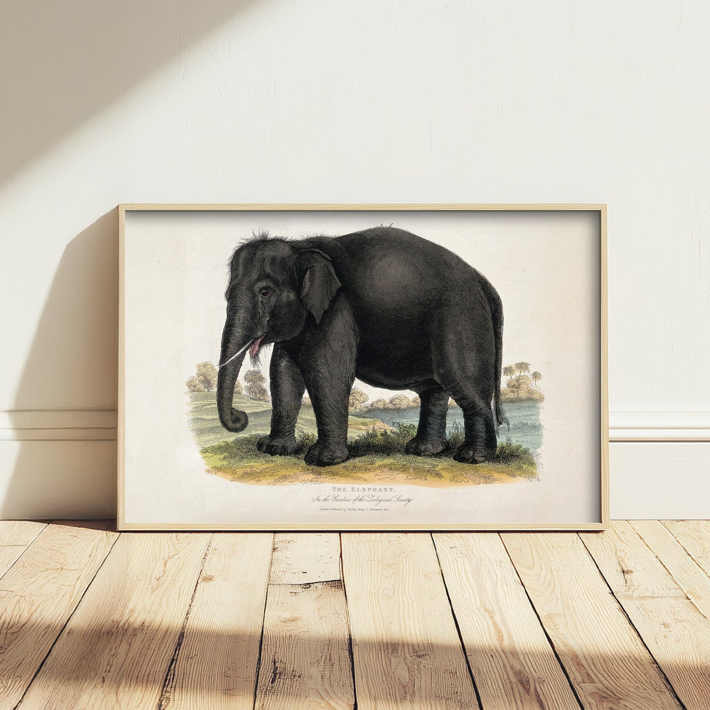 Vintage Elephant Art Print - Antique Zoological Illustration Poster 1860 - Natural History Wall Art - Asian Elephant